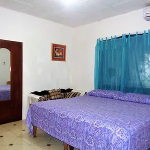 https://yard-style.comcaribbean.com